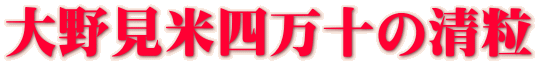 大野見米四万十の清粒 