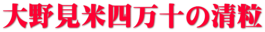 大野見米四万十の清粒 